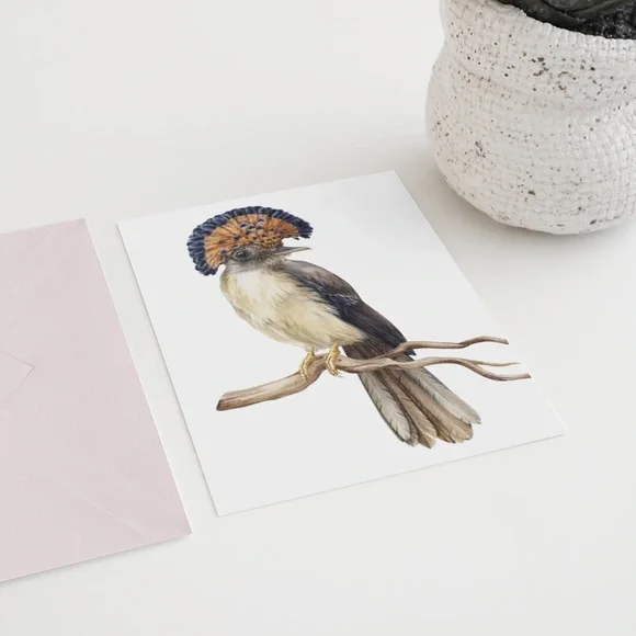 Flycatcher Bird Wall Art Watercolor Illustration Print Poster Card Unframed - Picture 7 of 7